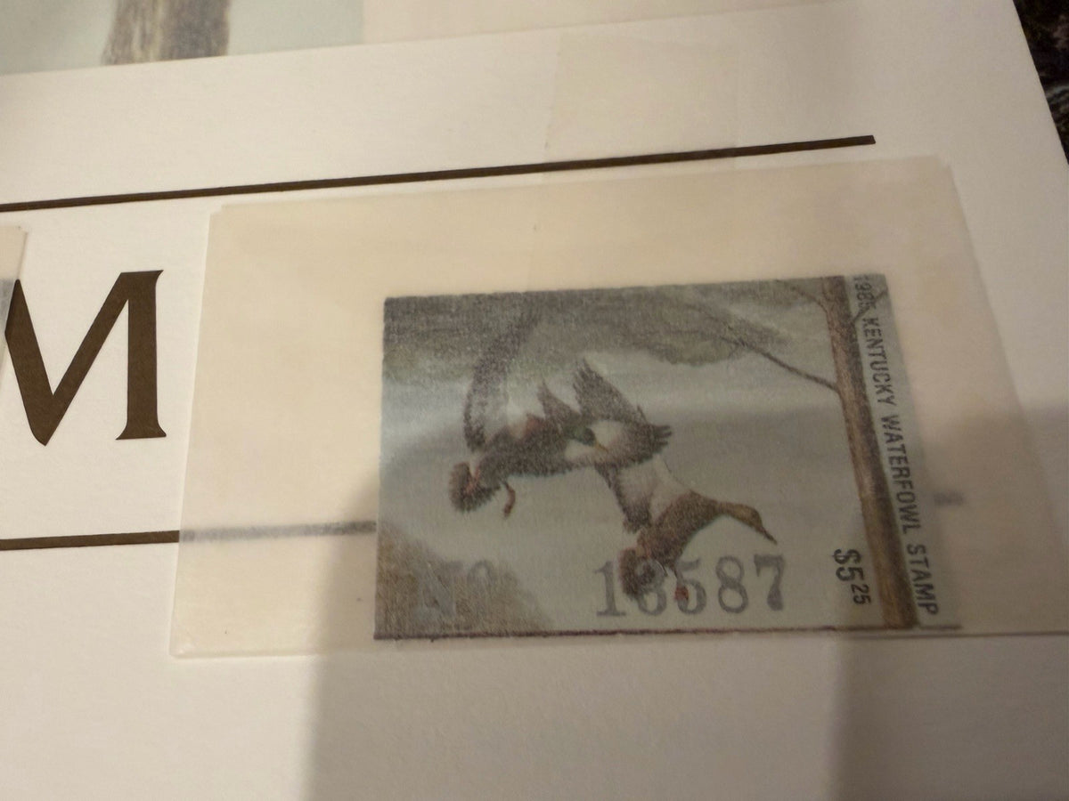 Ray Harm 1985 Kentucky Ducks Signed Print on Paper Unframed w Stamps3