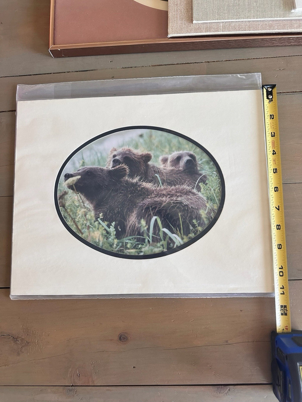 Barri J Boren Signed Naptime Bear Family Wildlife Photograph Print 2000 Matted1