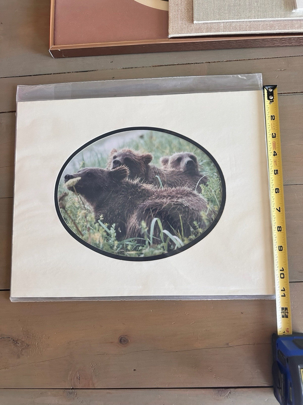 Barri J Boren Signed Naptime Bear Family Wildlife Photograph Print 2000 Matted1