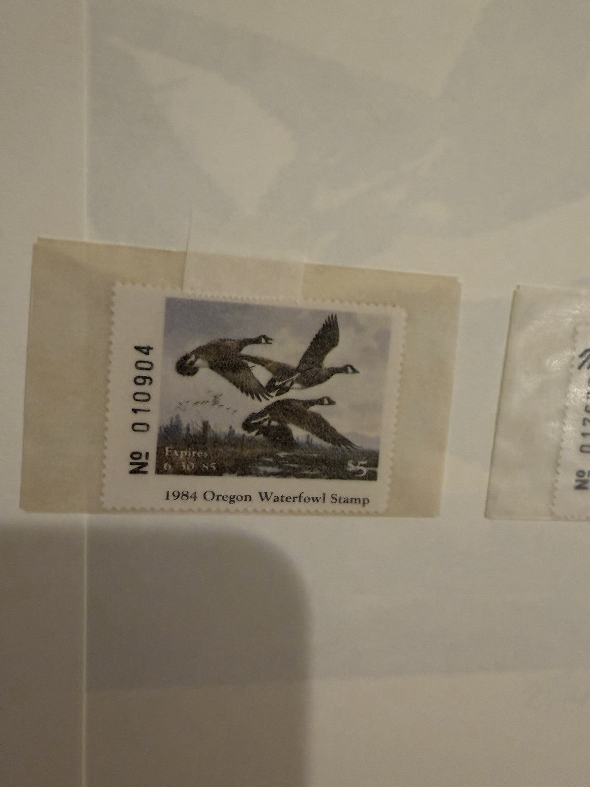1984 Oregon First State Waterfowl Stamp Print Michael Sieve Signed #109044