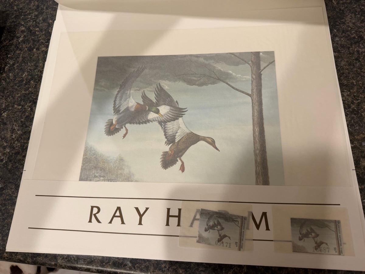 Ray Harm 1985 Kentucky Ducks Signed Print on Paper Unframed w Stamps1
