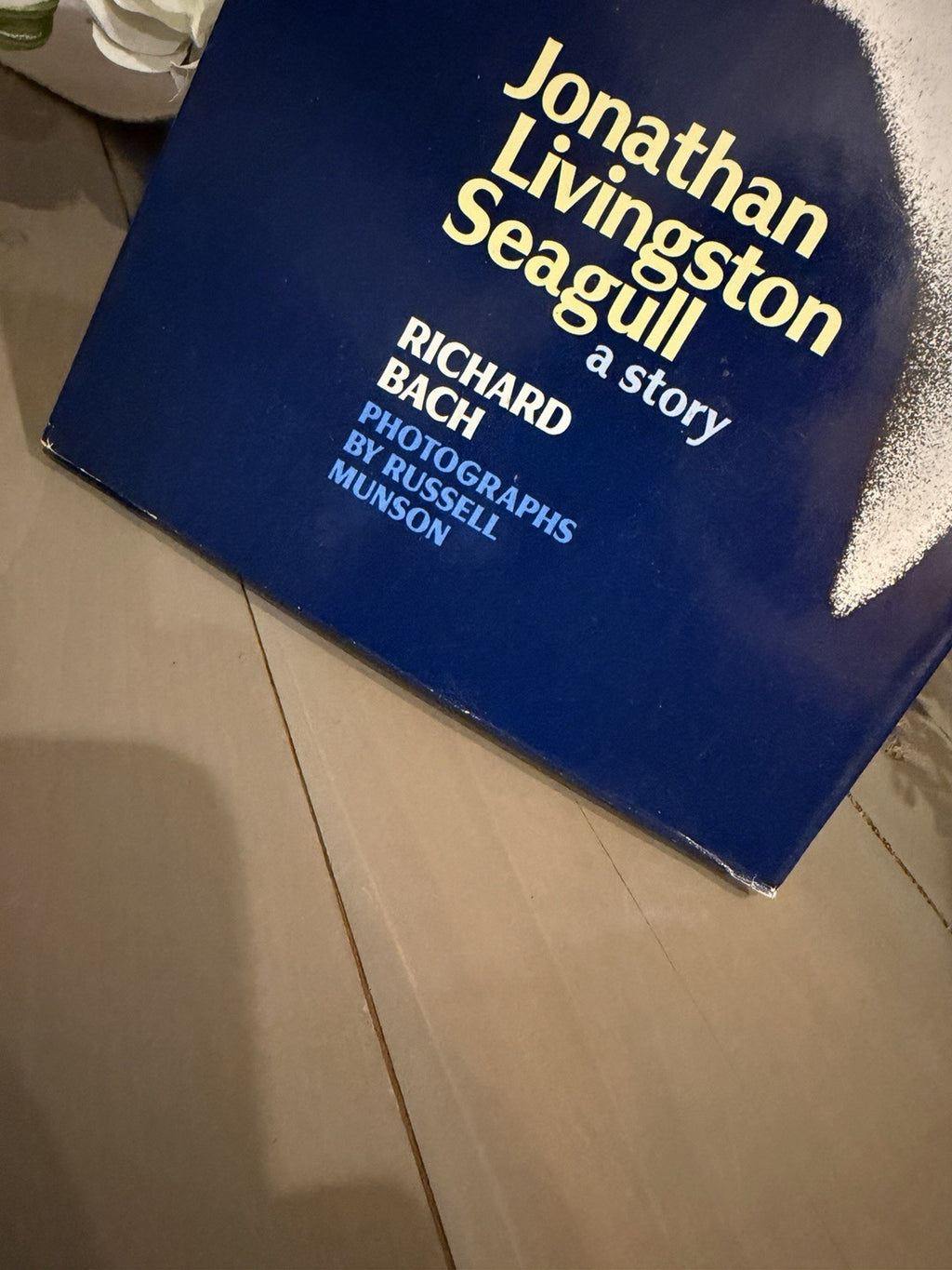 Jonathan Livingston Seagull Richard Bach Vintage Hardcover Russell Munson Photos1