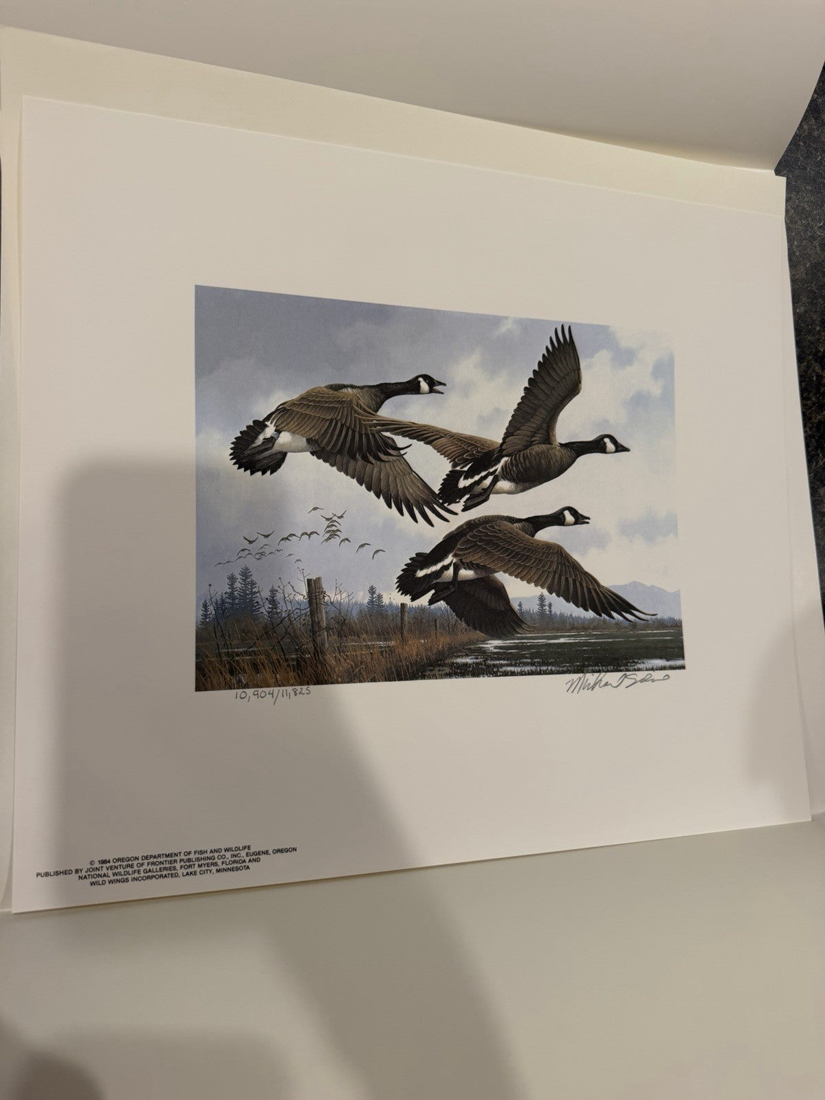 1984 Oregon First State Waterfowl Stamp Print Michael Sieve Signed #109045