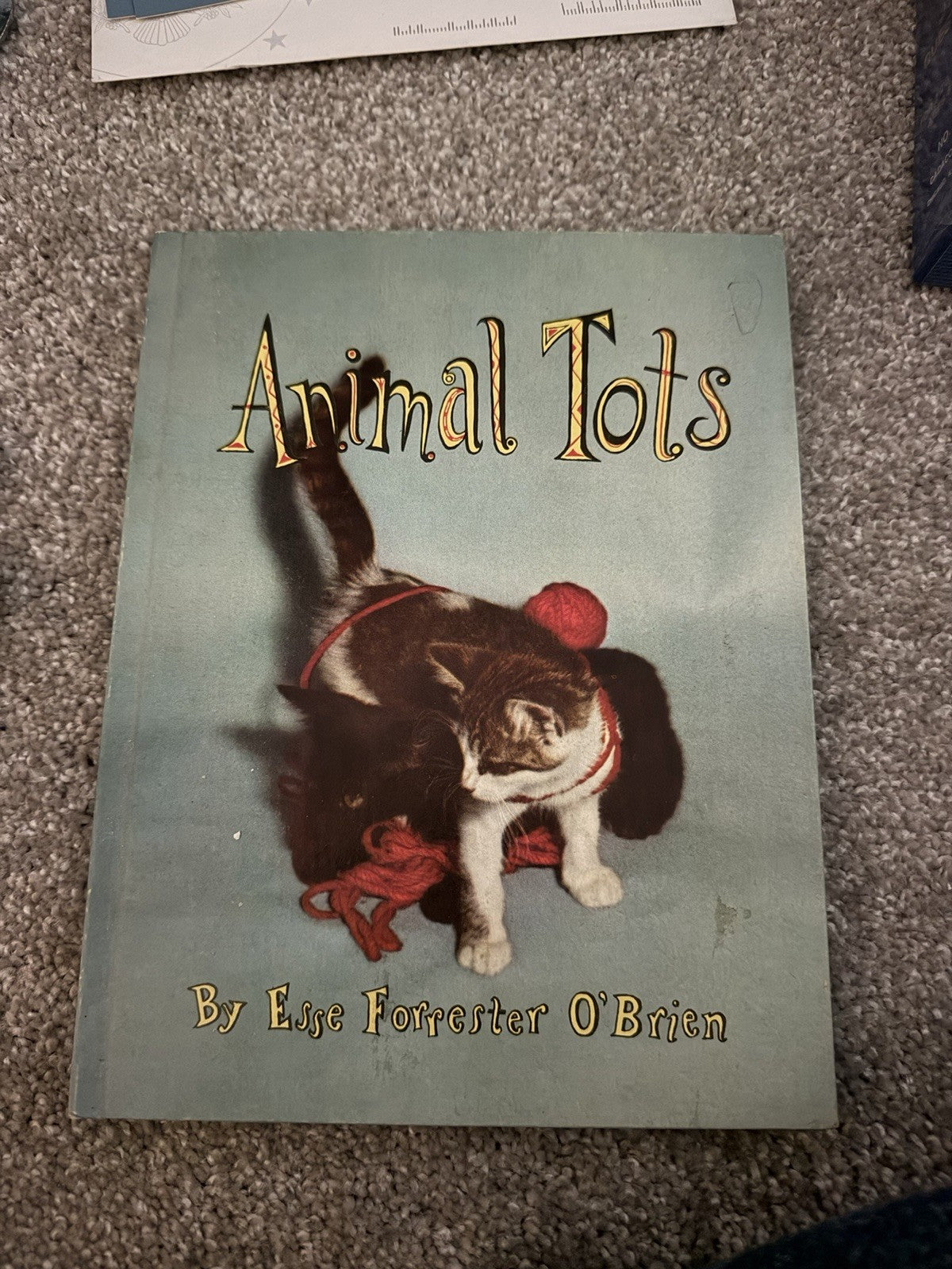 Vintage 1956 Animal Tots Esse Forrester O’Brien Children’s Animal Photo Book0