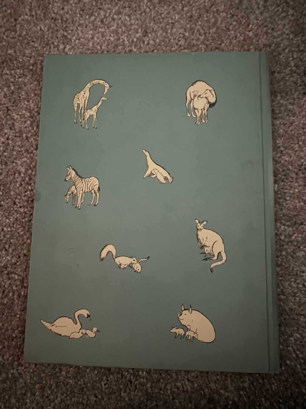 Vintage 1956 Animal Tots Esse Forrester O’Brien Children’s Animal Photo Book2