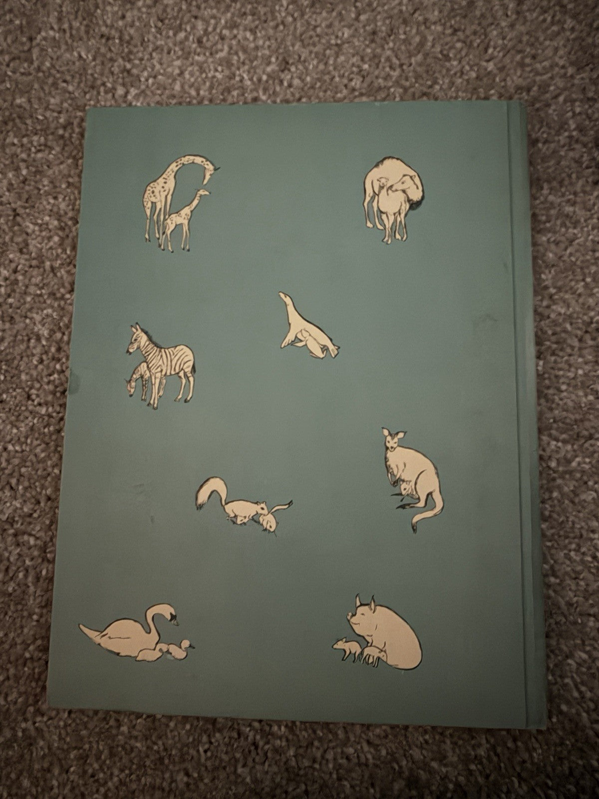 Vintage 1956 Animal Tots Esse Forrester O’Brien Children’s Animal Photo Book2