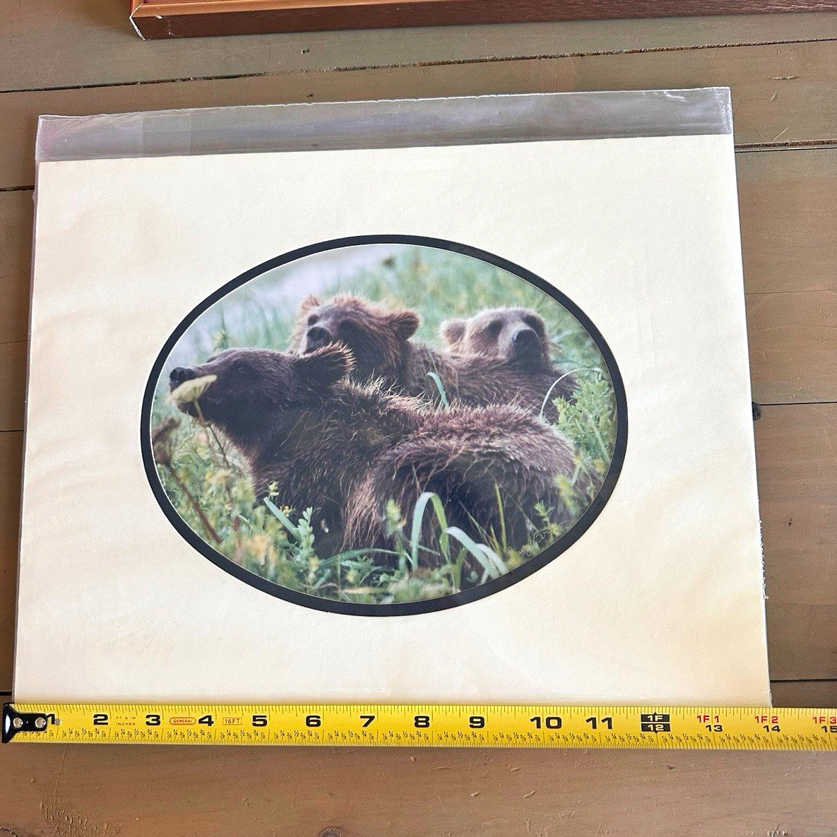 Barri J Boren Signed Naptime Bear Family Wildlife Photograph Print 2000 Matted0